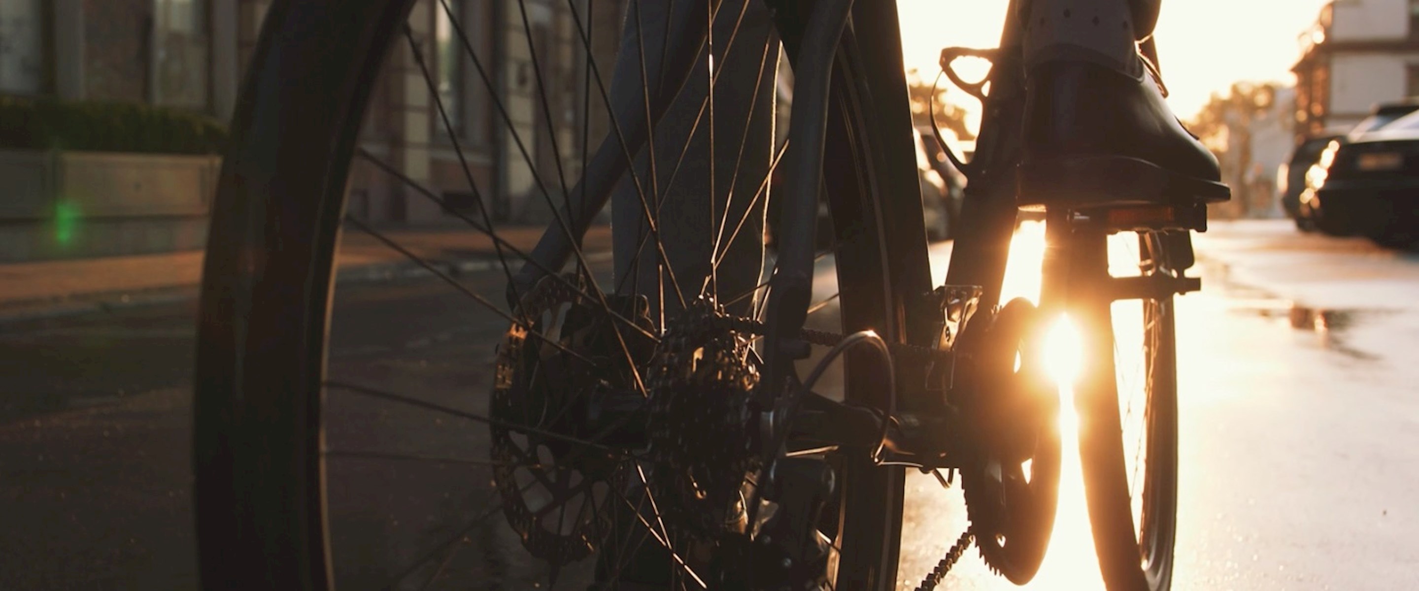 Closeup of a person riding a bicycle that shows the rear tire and the gears, spokes, and chains with the sunset appearing through the pedals.