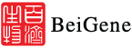 BeiGene, Ltd. BeiGene