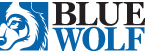 Blue Wolf Capital Partners 