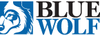Blue Wolf Capital Partners Blue Wolf Capital Partners