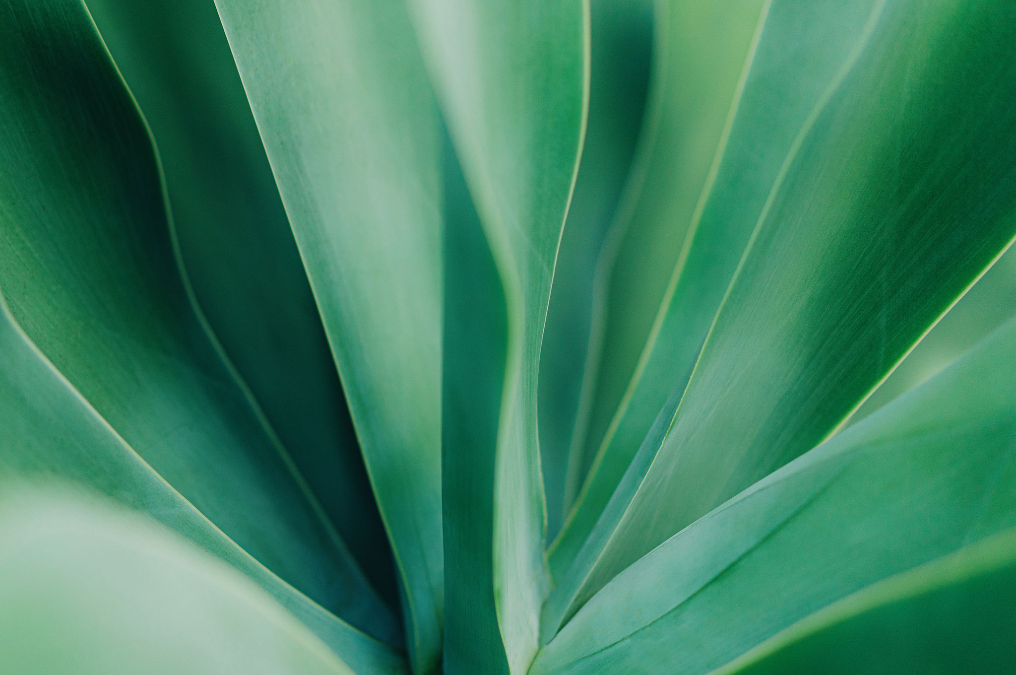 Private Wealth Management William Blair