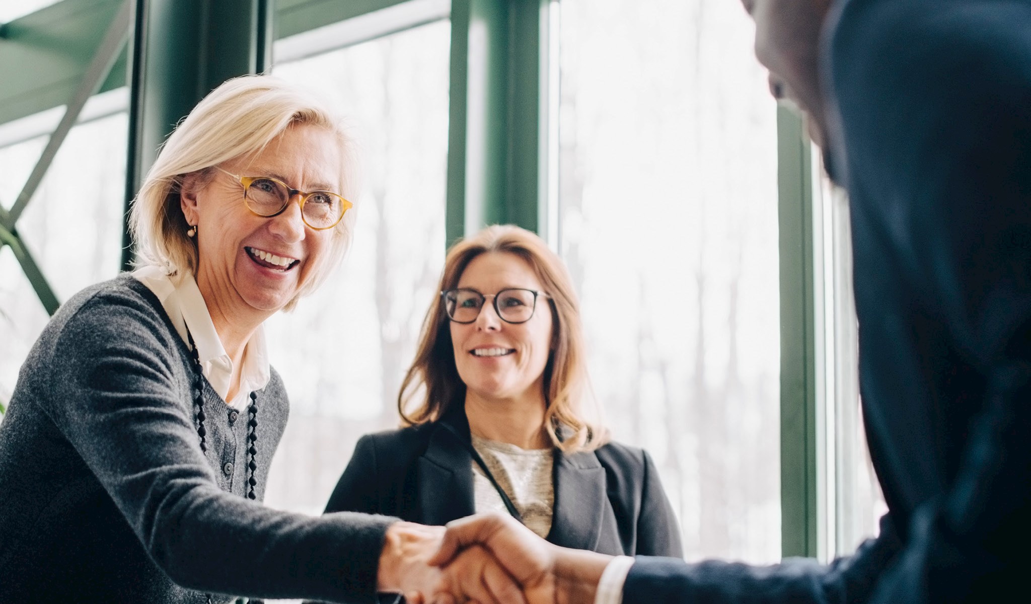 A woman shaking hands with someone