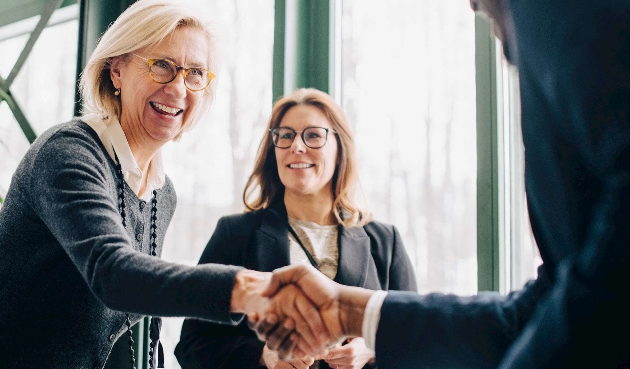 A woman shaking hands with someone