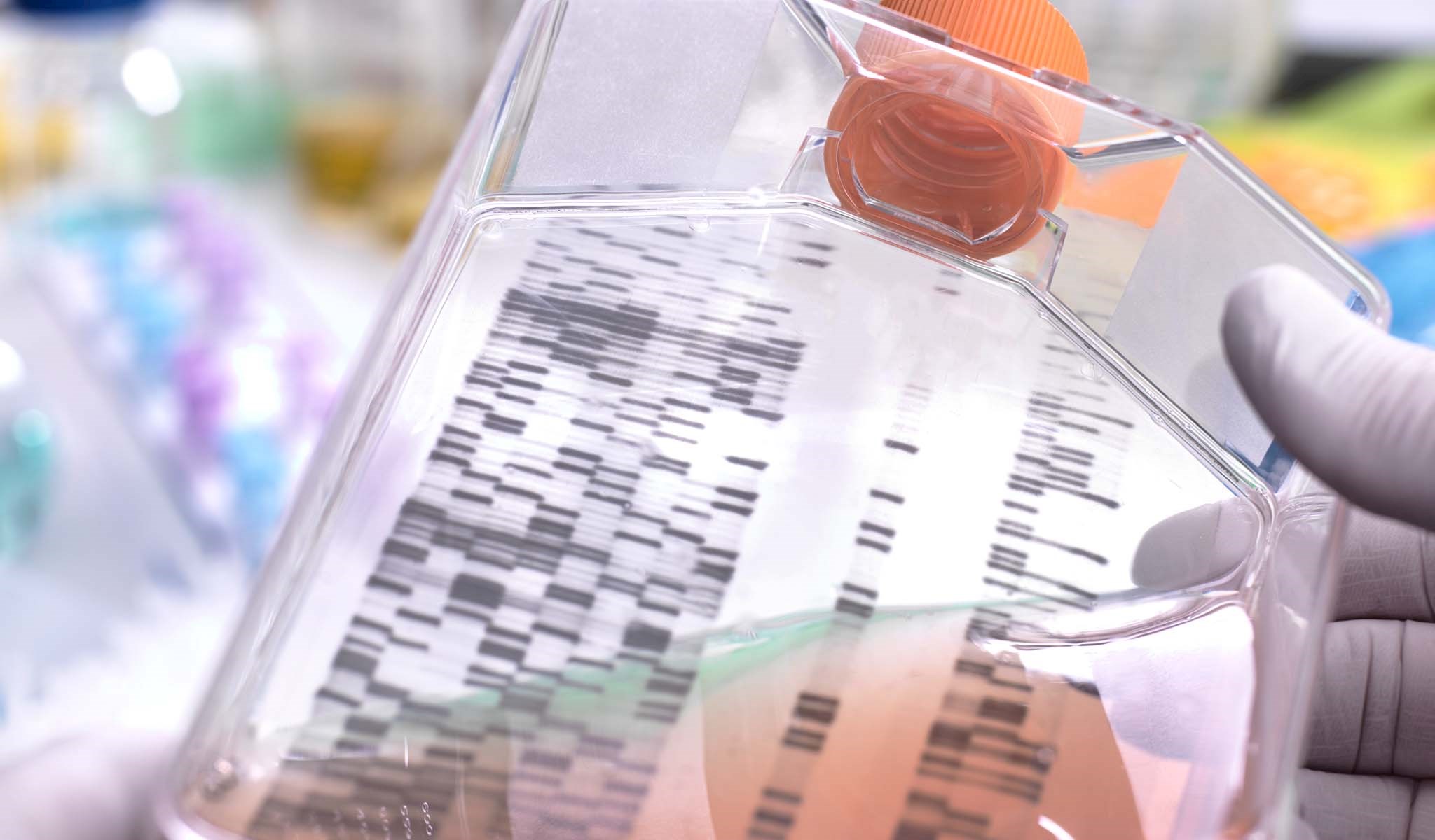 Chemical in a beaker