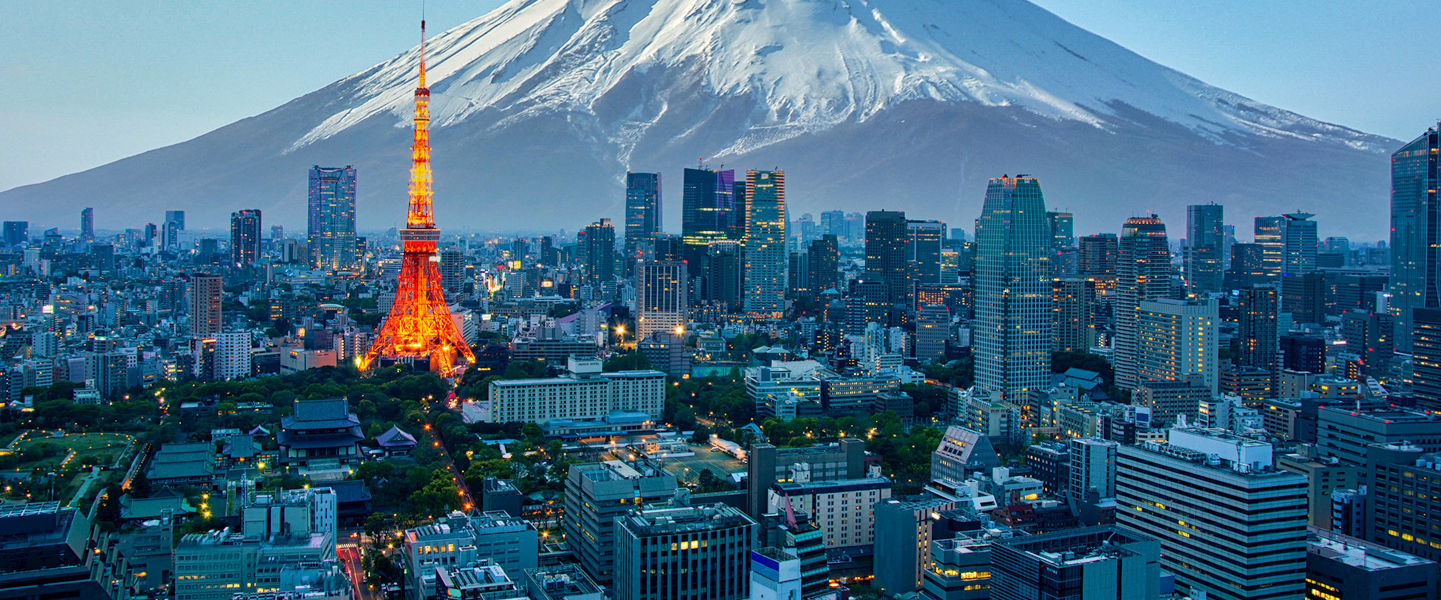 Tokyo skyline and Mt. Fuji