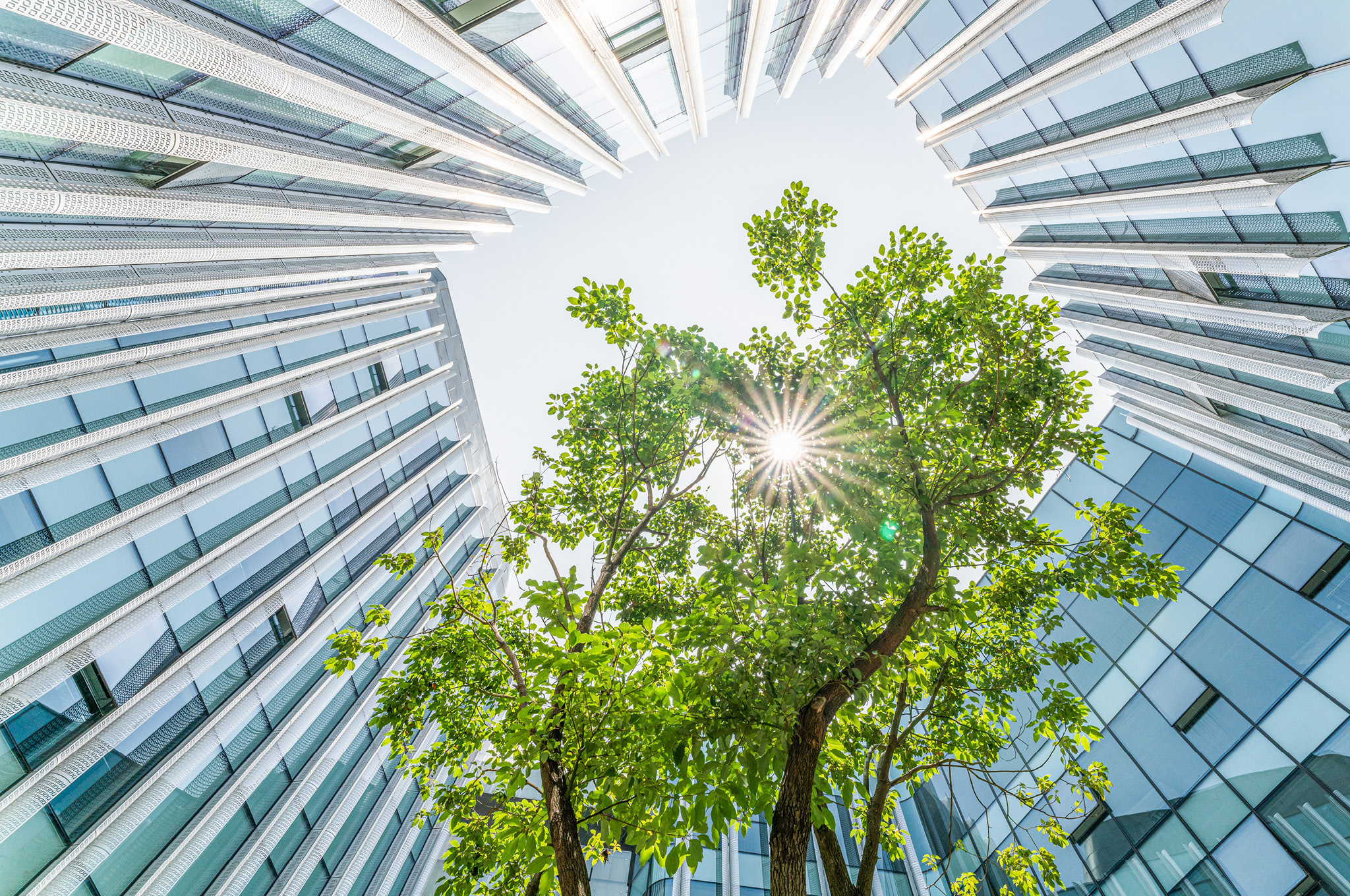 Looking up a building courtyard with sun pouring in