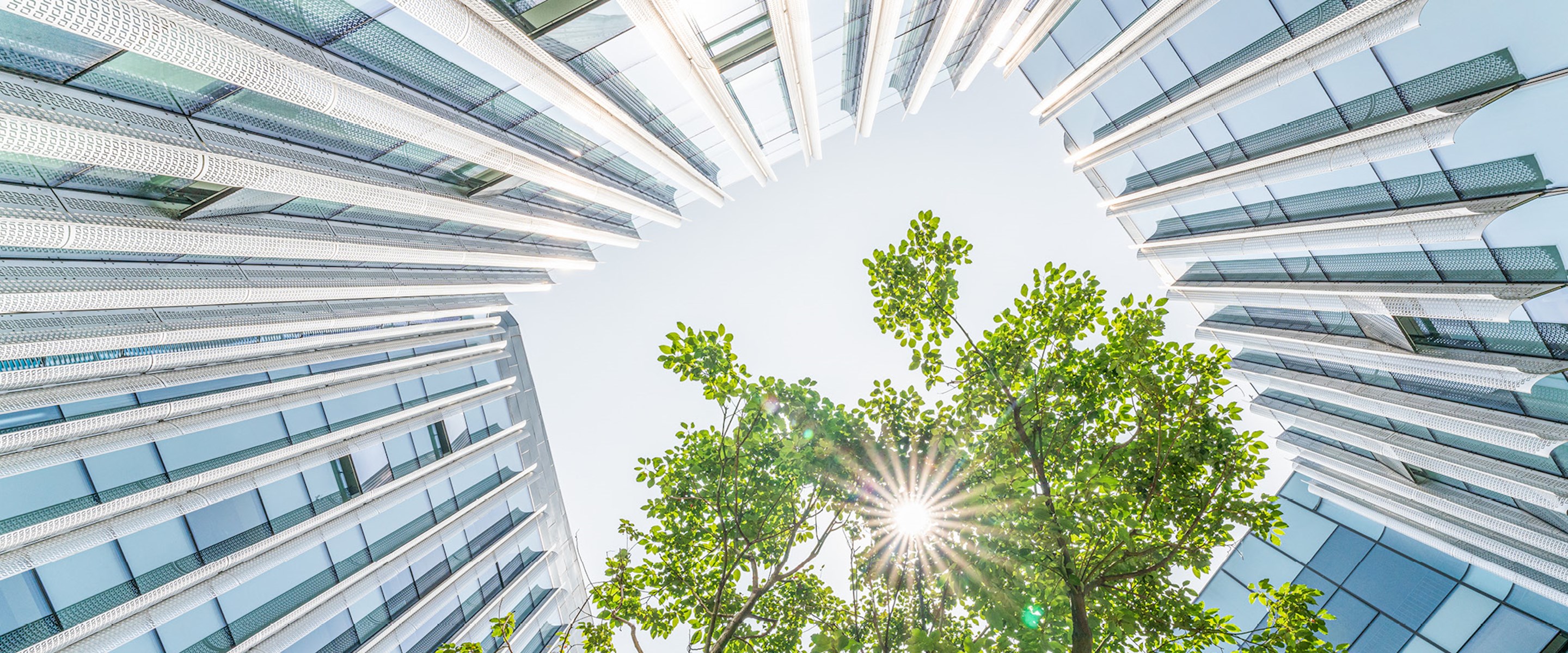 Looking up a building courtyard with sun pouring in