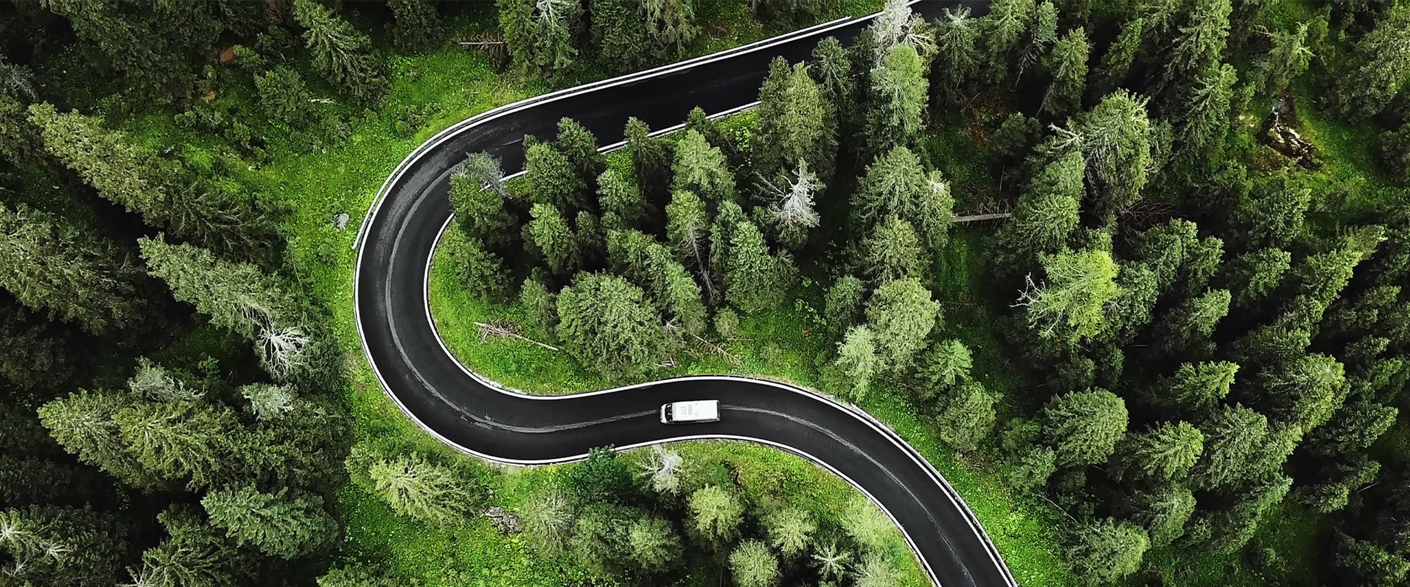 Aerial view of a curvy road in the woods